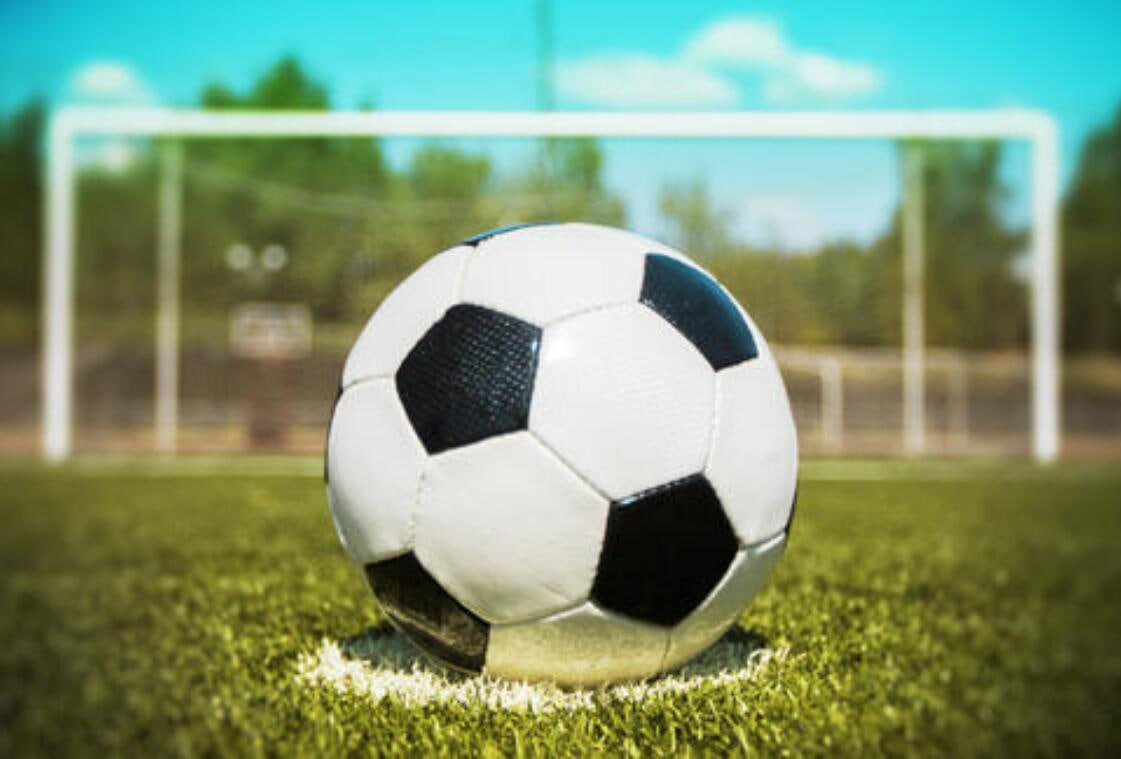 足球教练王先生评价